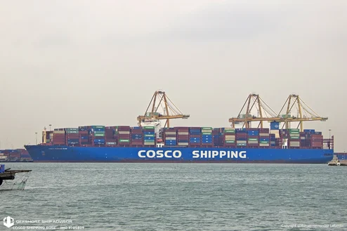 https://d1g8nvqq987mha.cloudfront.net/review/8cc8ae6ddb3c4ed69099266ea7d4ecce/494-494/cosco shipping rose_01 mst.jpg.webp